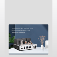 Cayin HA-2A variant 4