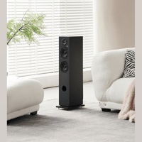 Elipson HORUS 11F variant 10