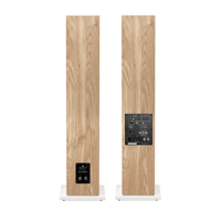 Triangle LN05A variant 4