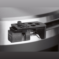 TW-Acustic Raven Black Night variant 9