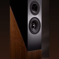 Davis Acoustics The Pledge variant 11