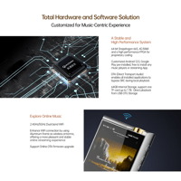 Cayin N7+ variant 20