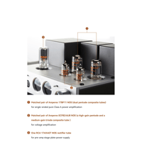 Cayin HA-2A variant 3