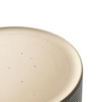 B&O-Bang & Olufsen  Beosound Balance variant 5