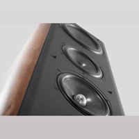 Chario Academy Serendipity variant 2