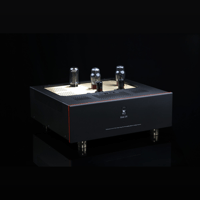 SW1x DAC IV variant 13