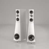 YG Acoustics Sonja 3.2 variant 1