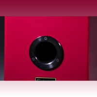 Wilson Audio Sabrina X variant 6