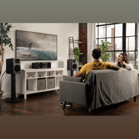 MartinLogan Motion C10 variant 25