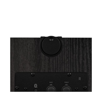 Fluance Fluance RT85 Vinyl Turntable, Ri71 Powered Bookshelf Speakers, PA10 Preamp variant 8
