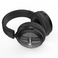 Kiwi Ears Ellipse variant 3