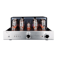 Cayin CS-100A variant 1