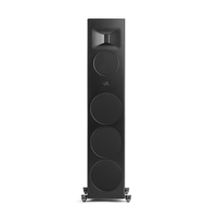 MartinLogan Motion XT F200 variant 11