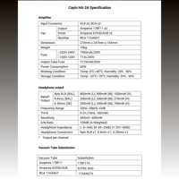 Cayin HA-2A variant 17