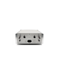 Denafrips THALLO POWERAMP variant 3