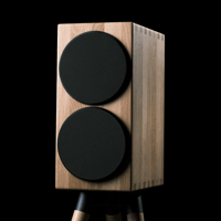 Buchardt Audio E50 variant 9