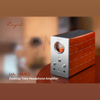 Cayin HA-1A MK2 variant 1