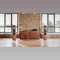Sonus Faber Sonetto v variant 7