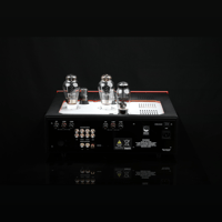 SW1x AMP IV “Aura” Integrated Amplifier variant 13