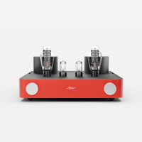 Fezz Audio Mira Ceti 300B variant 13