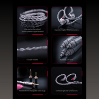 FiiO LC-RB variant 2