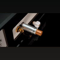 Ansuz Acoustics Sortz / Noise Reduction (XLR male) variant 4