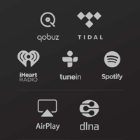 Andover Songbird Internet Music Streamer variant 5