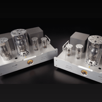 Allnic/ZL Technologies A-311M variant 6