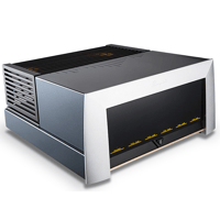 Cayin M-845D variant 2