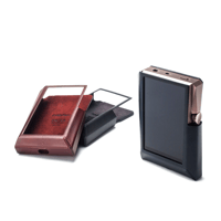 Astell & Kern AK380 Case variant 1