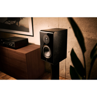 Yamaha NS-800A variant 8