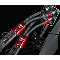 AudioQuest FireBird BASS variant 3