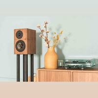 Revival Audio ATALANTE 3 variant 10