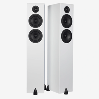Totem Acoustic Bison Twin Tower variant 8