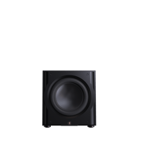 Perlisten R12s variant 1