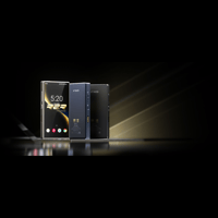 FiiO M33 R2R variant 1