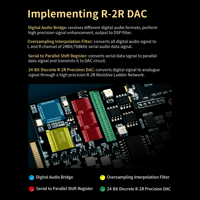 Cayin R01 R-2R Audio Motherboard variant 4