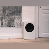 Buchardt Audio SUB10 variant 16