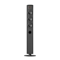 Piega usa Ace 50 Floorstanding Speakers [Pair] variant 10