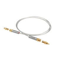 Ansuz Acoustics Digitalz - Steel variant 4