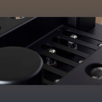 Mastersound PF 200 litz (coppia) variant 9