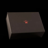 Gryphon Audio Vanta variant 4