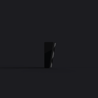 Perlisten R4s variant 6