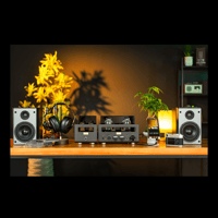 Cayin HA-300 MK3 variant 13