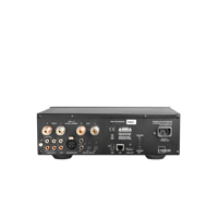 Lyngdorf Audio TDAI-1120 variant 2