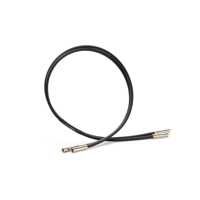 Shunyata Research GAMMA RCA variant 1