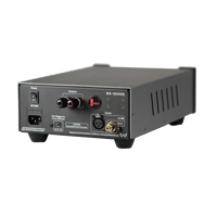 Wyred 4 Sound SX-1000R variant 3