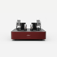 Fezz Audio Mira Ceti Mono Power Amplifier variant 1