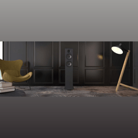 Acoustic Energy AE309 variant 6