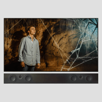 Totem Acoustic Tribe Duo variant 1